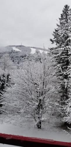 Stoneham House | Mountain view chalet avec vue sur la montagne