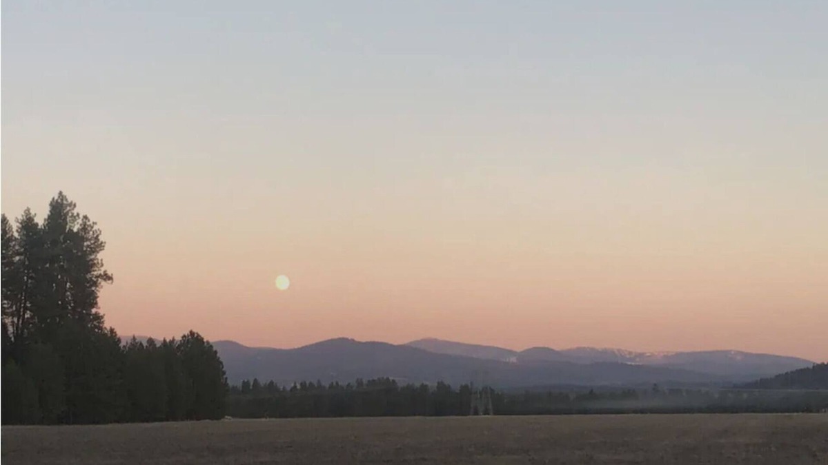 Colbert House | Mountain View Country Guest House