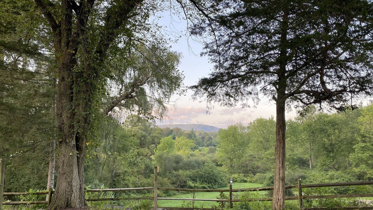 Millerton Other | Mountain View Farmhouse, pool/hot tub, fire pit, 4 seasons porch, game room