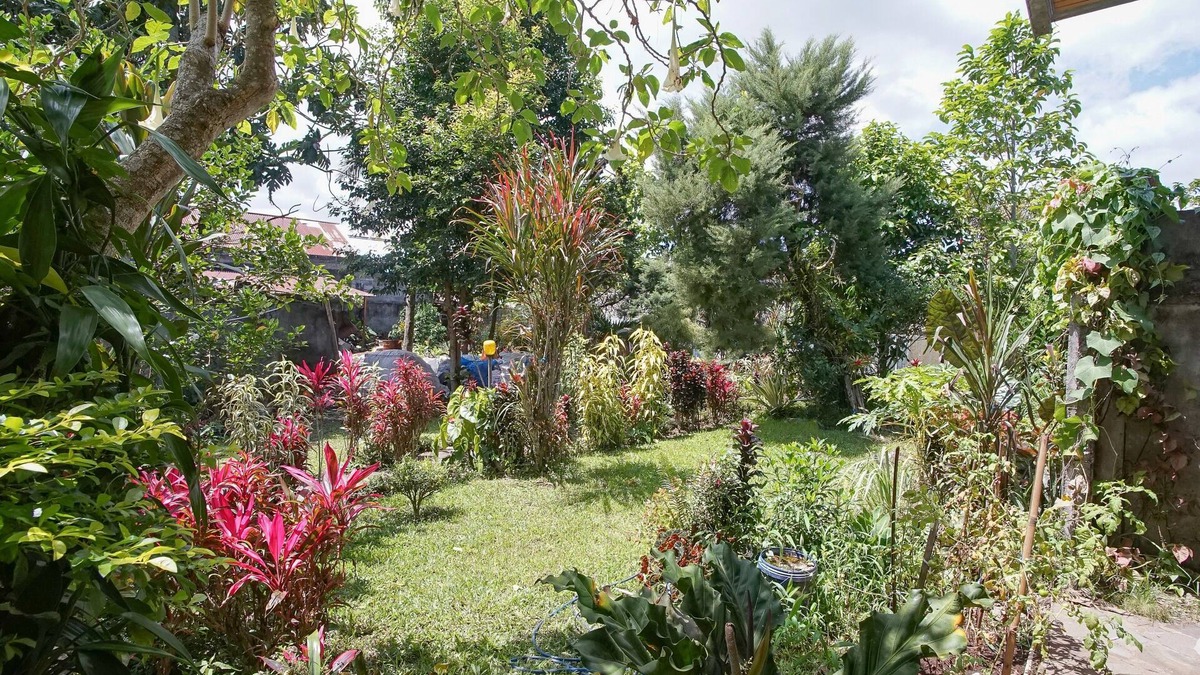Tomohon Hotel | Mountain View Homestay