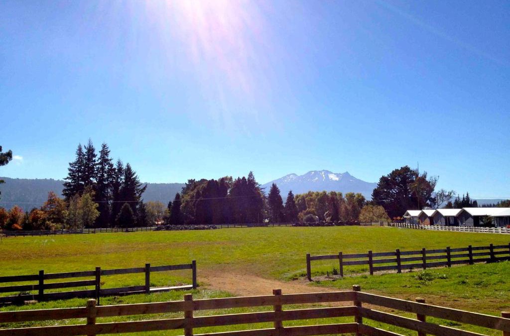 Ohakune House | Mountain View - Ohakune Holiday Home