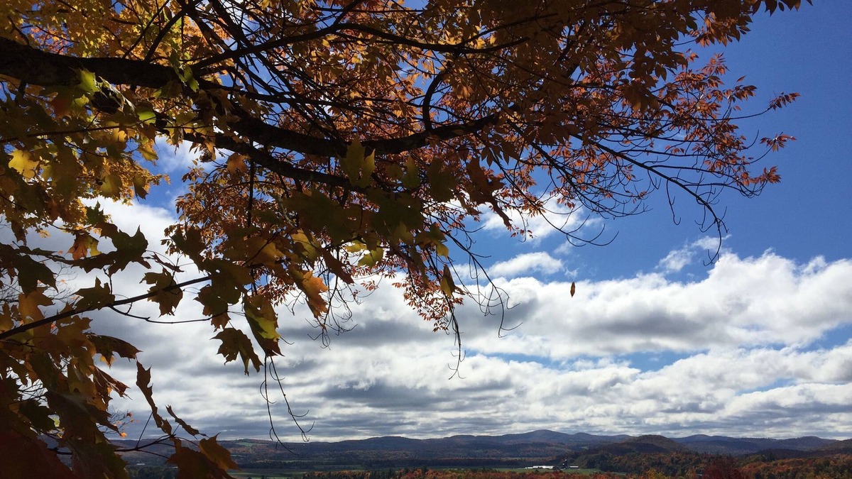 Irasburg House | Mountain views - peaceful small ranch on 5 acres