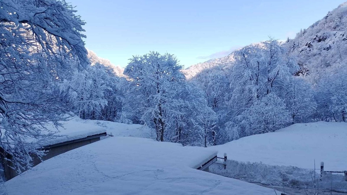 Artesina Apartment | Mountains at 360°:Sports, Nature and Relaxation