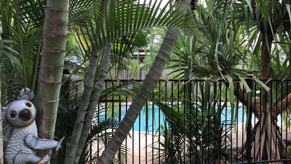 Parramatta Park House | MountainVues with Pool