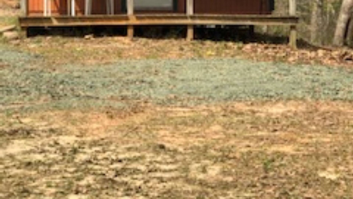 Turtle Beach Cabin | Mt. Richard - Cabin #2 - Toledo Bend - Mid Lake