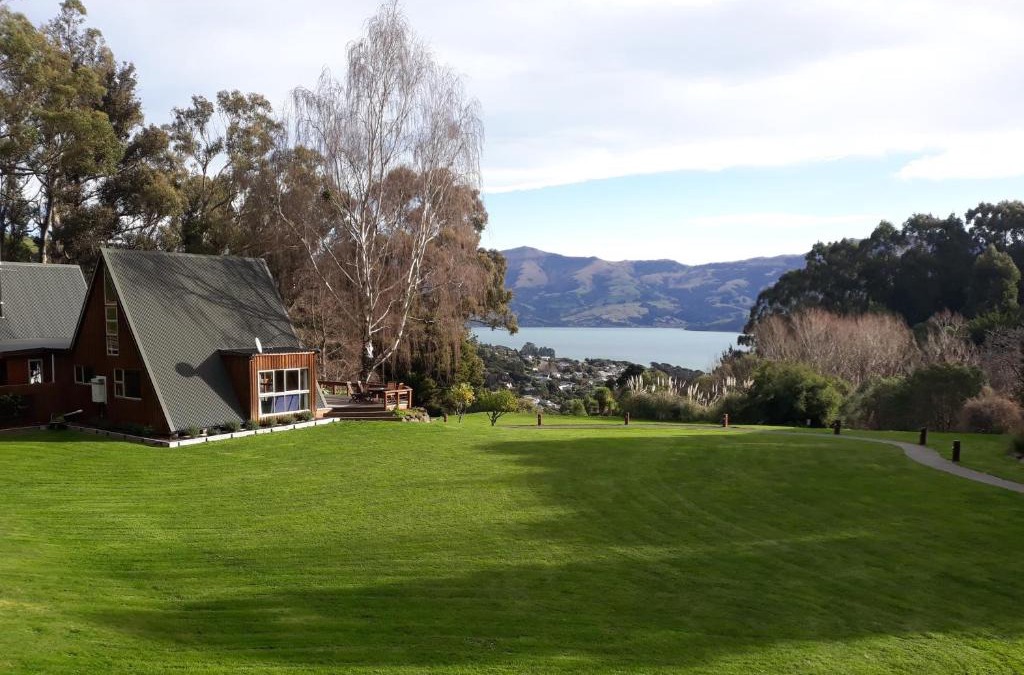 Akaroa Apartment | Mt Vernon