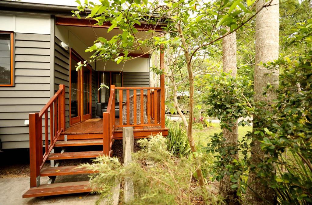 Mount Warning Other | Mt Warning Rainforest Park