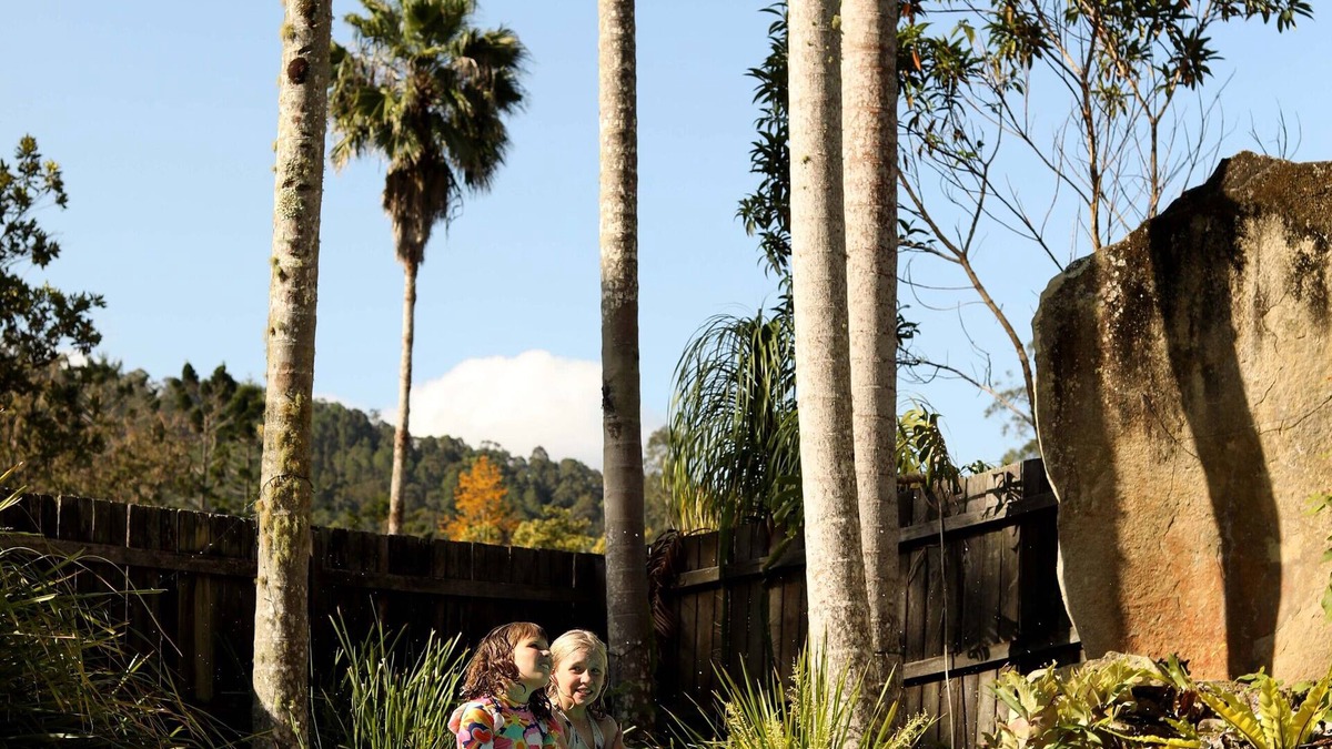Mount Warning Other | Mt Warning Rainforest Park