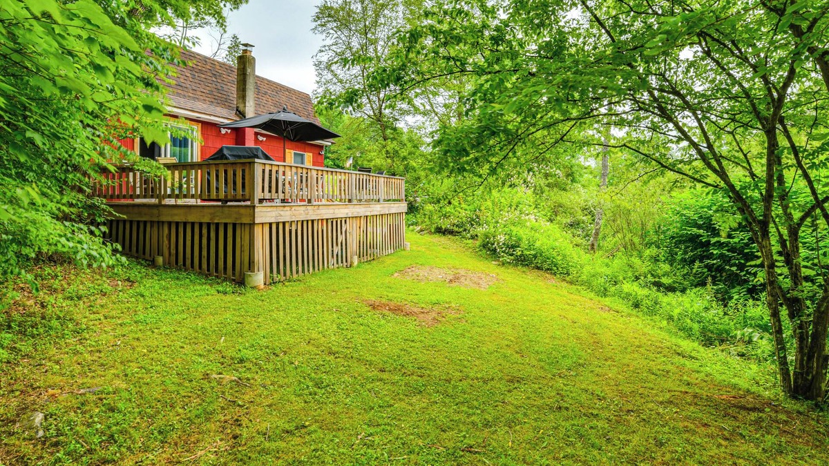 Long Eddy Cabin | Mtn-View Deck & Grill: Creekside Catskills Cabin!