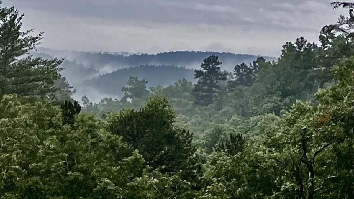 Clarkesville House | Mtn Views, Creek, and Trails on PRIVATE 7+ Acres