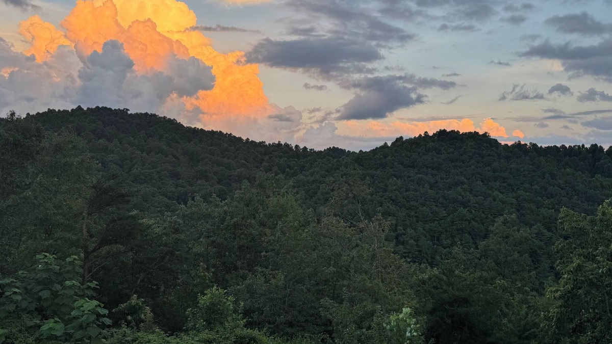 Morganton Cabin | Mtn Views⛰️Dog Friendly🐕 2 King Beds ☕Coffee/Tea Bar 🔥Fire Pit