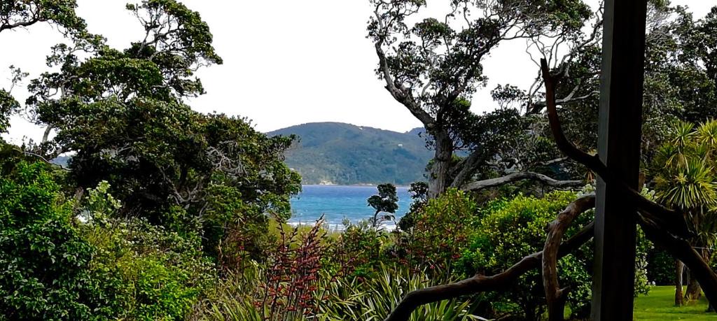 Tryphena Bed & Breakfast | Mulberry Grove Retreat