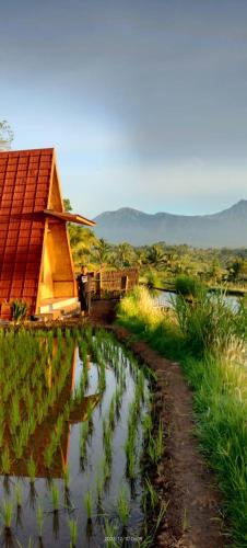 Kecamatan Montong Gading House | Muni's Terrace Bungalow