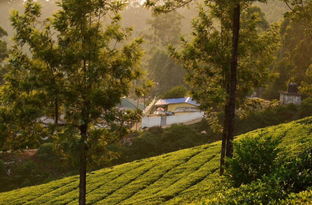 Devikolam House | Munnar valley view