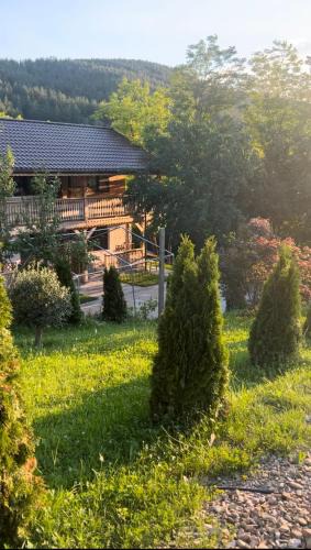 Chiliile House | Muntele cu dor