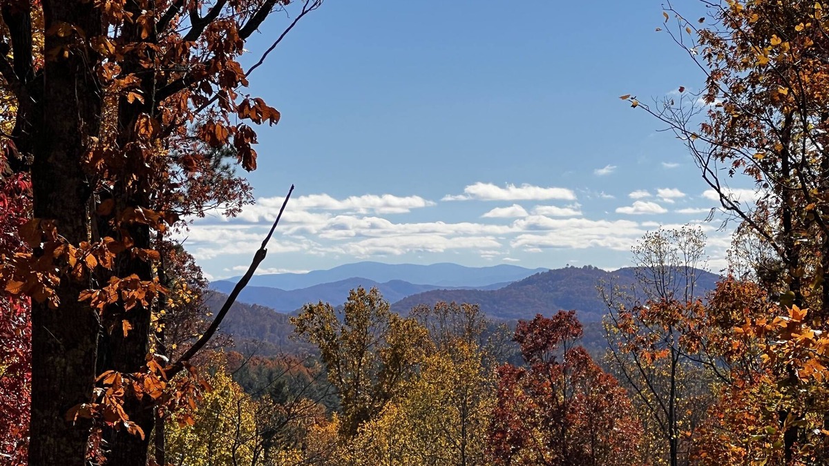 Murphy Cabin | 🪵 Murphy Cabin 🏔 Mountain View/2Bed-2Bath/6 guests/10mins to town