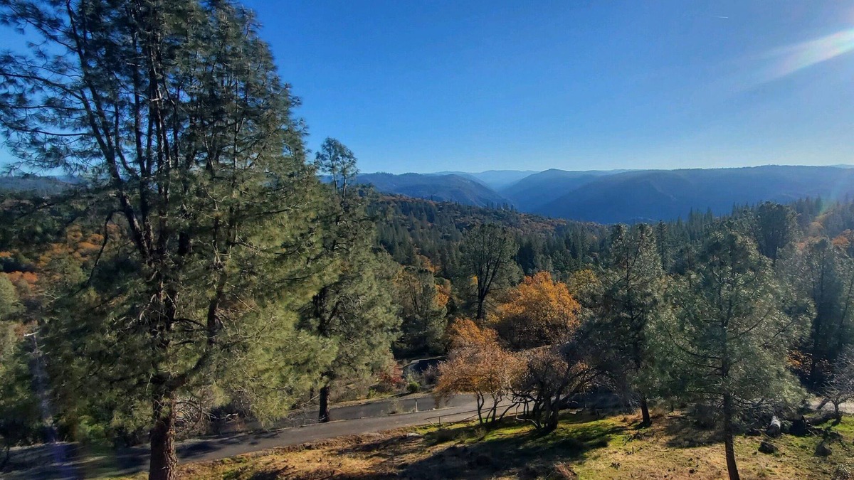 Forest Meadows House | Murphys Sunrise Cottage private and peaceful with breathtaking views.