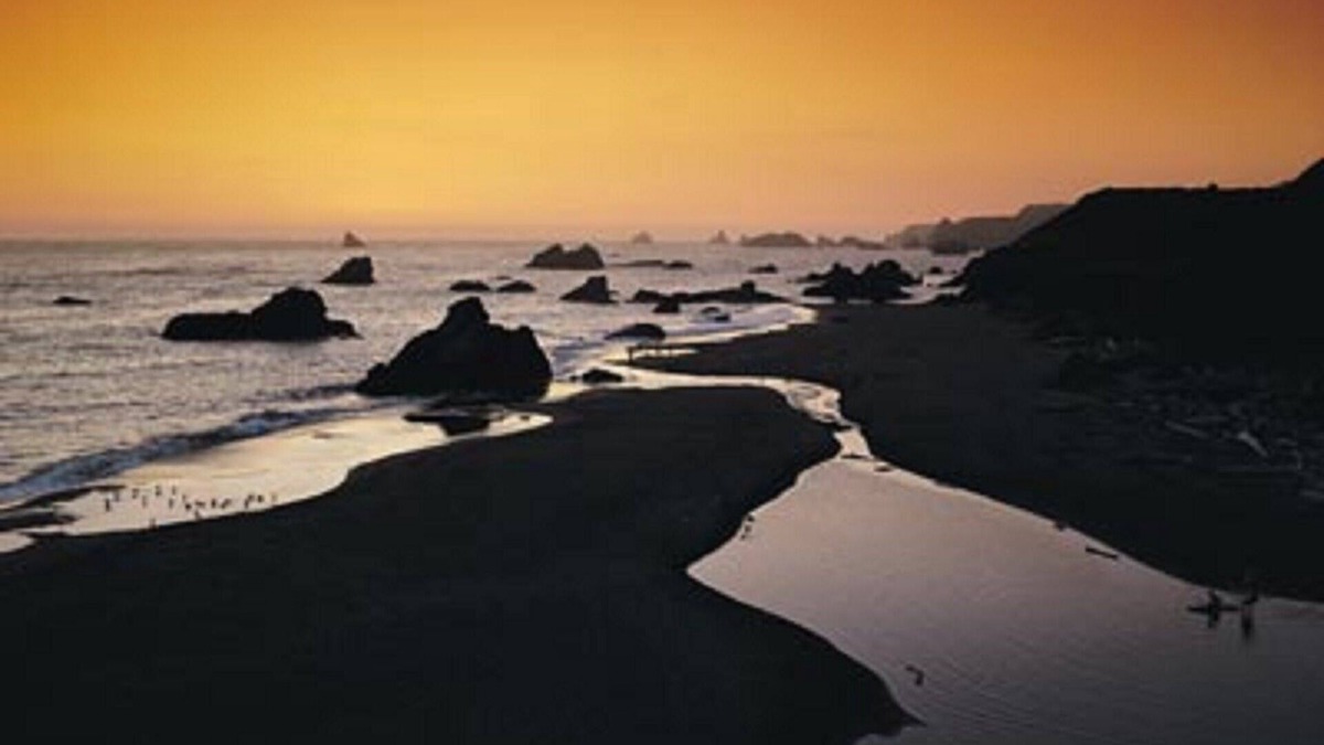 Agate Beach Resort | Museums, aquariums, boutiques and fresh seafood!