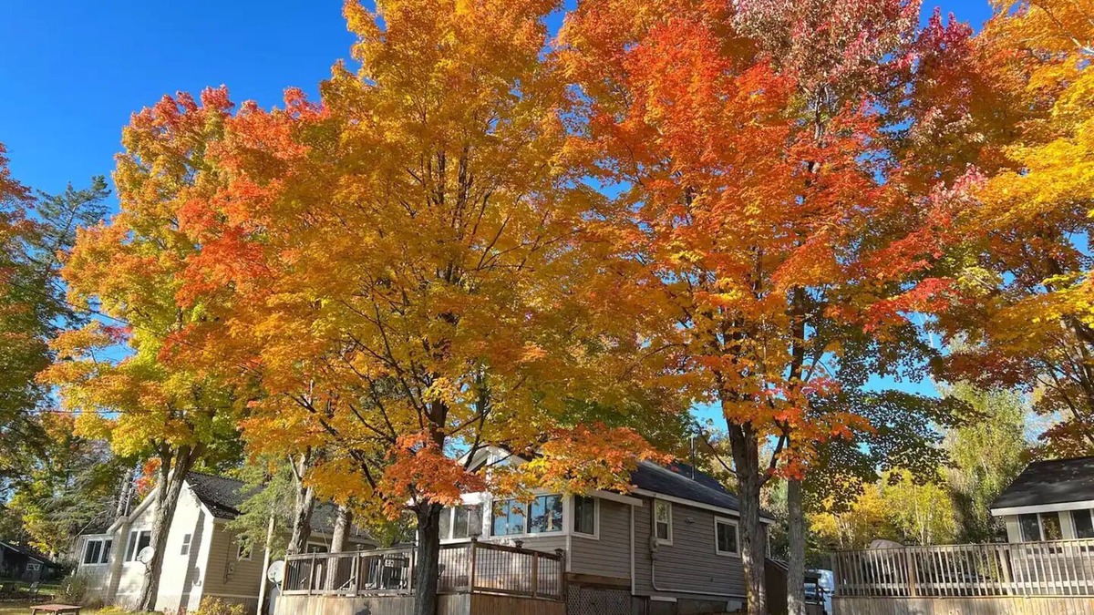 Muskoka Lakes Cottage | Muskoka Cottage Minutes From Bala
