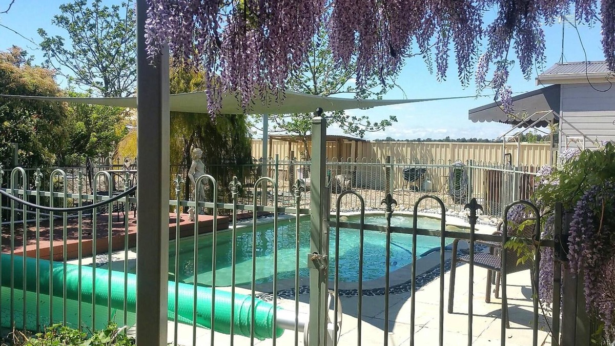 Rutherglen Bed & Breakfast | Must Love Dogs B&b