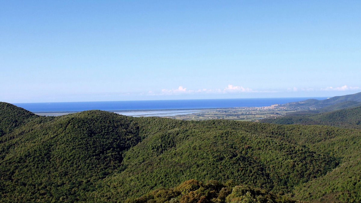 Castiglione della Pescaia House | MY HOME @LE GUAZZE BONE -WHOLE HOUSE SEA VIEW WITH GARDEN