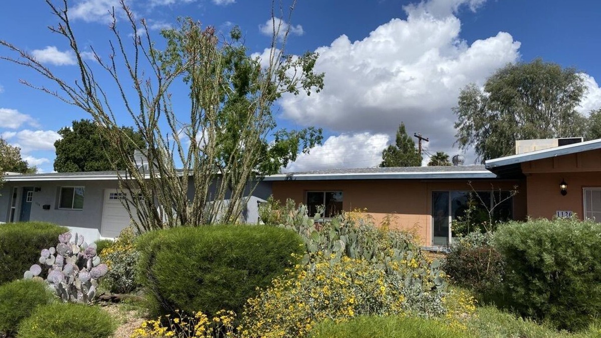 Tempe House | My Largest Nest