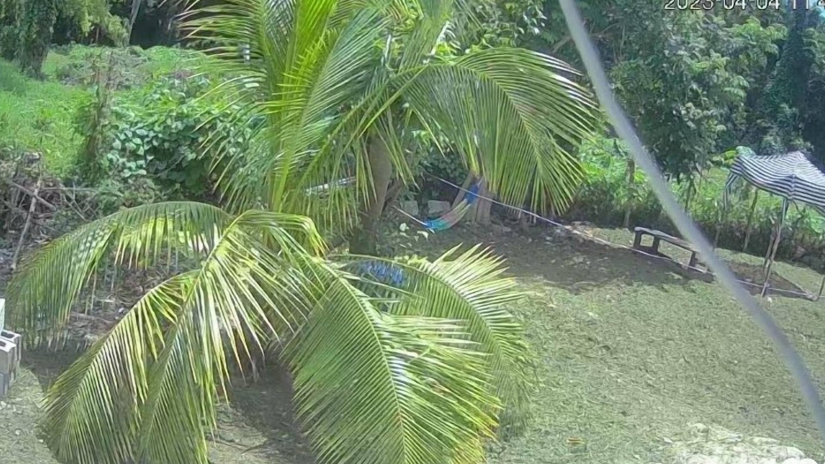 Negril Cabin | My Little Cabin In Negril 2 Bedroom Cabin by RedAwning