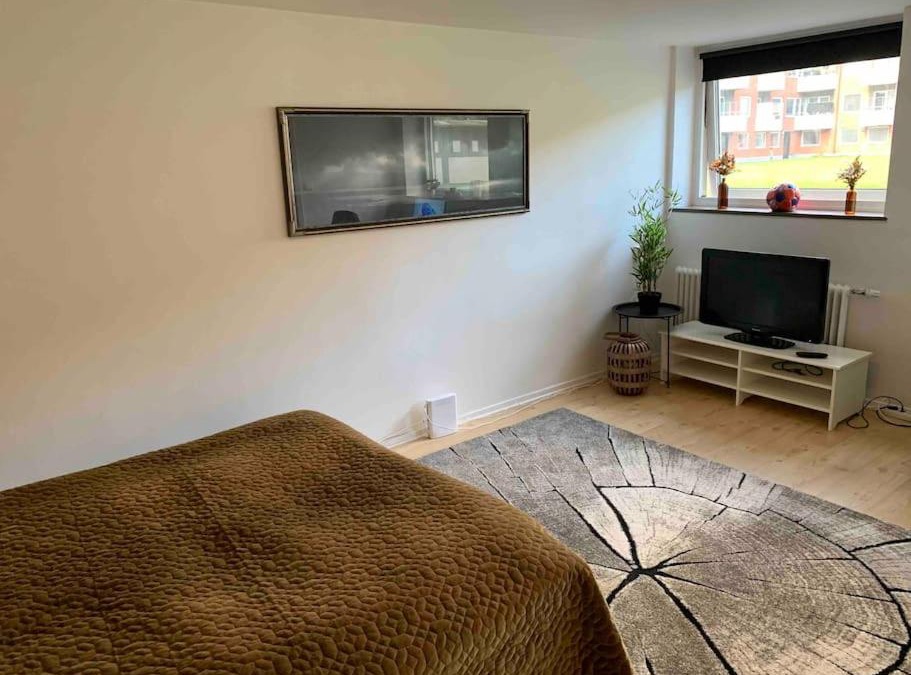 Helsingborg Apartment | Mysig & lugn lägenhet centralt