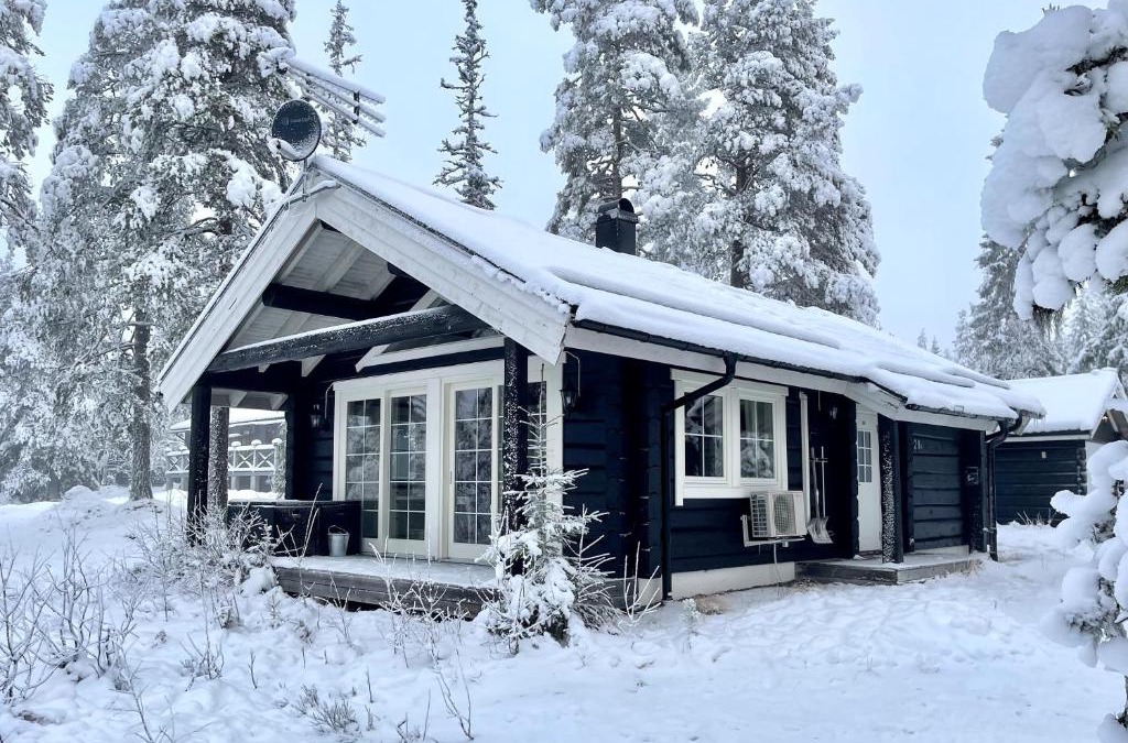 Stoten House | Mysig timmerstuga med utsikt över Tandådalens anläggningar