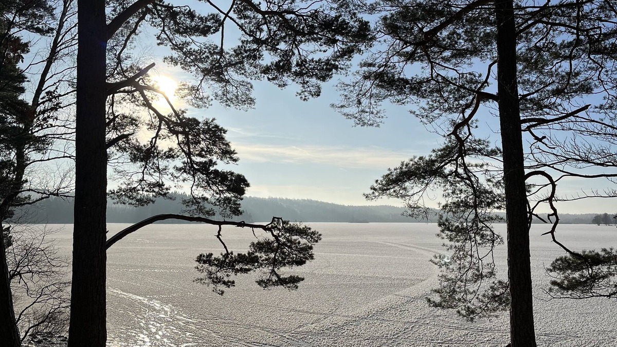 Markaryd House | Mysigt hus på Landsbygden i Småland Mitt i Naturen