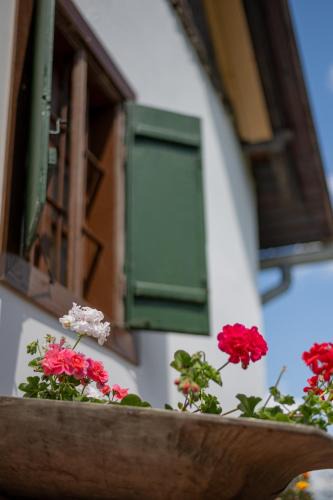 Patca Apartment | Nózsi-hegyi vendégház