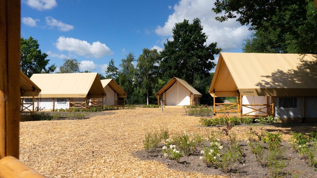 Mol Cabin | n/a