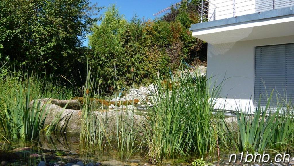 Obersiggenthal Apartment | N1 Standalone House Baden