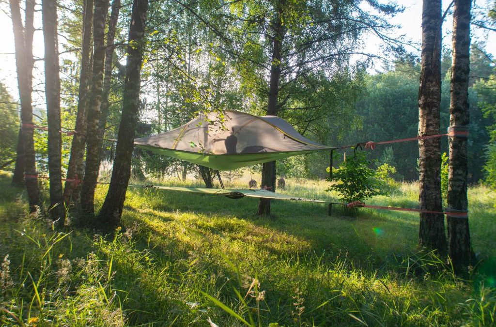 Pargas Other | Naawa Nature Camp