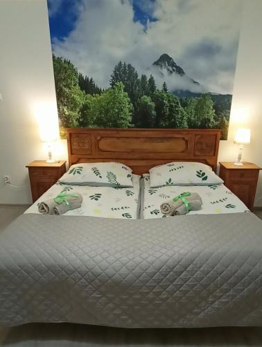 Mszana Dolna Apartment | Nad Strumykiem