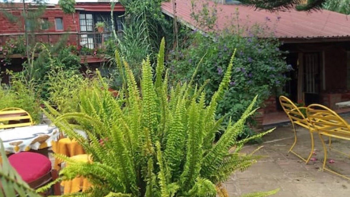 Naivasha Cottage | Naivasha cottage with a cute pool