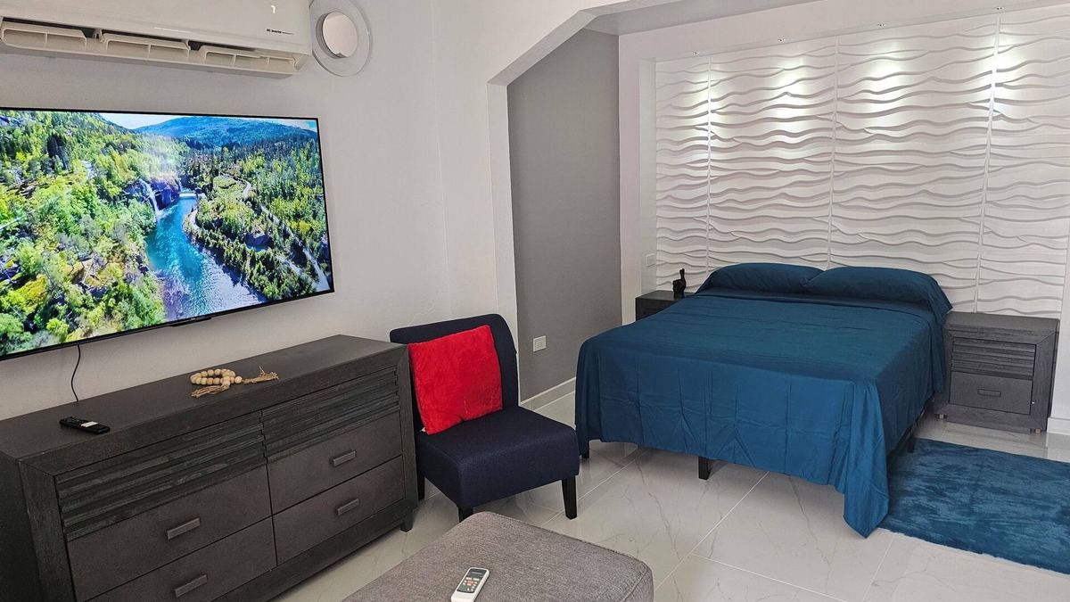Mayaguez Pueblo Apartment | Nala's studio in delightful Mayagüez with AC, WiFi, free parking.