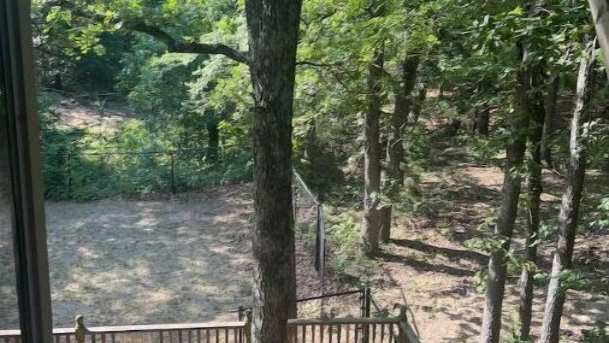 Sulphur House | Nana’s TreeHouse