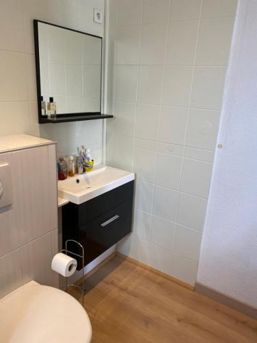 Malzeville Apartment | Nancy, Magnifique studio totalement climatisé, meublé, salle de bains et wc séparés, parking privé, cuisine équipée, WIFI