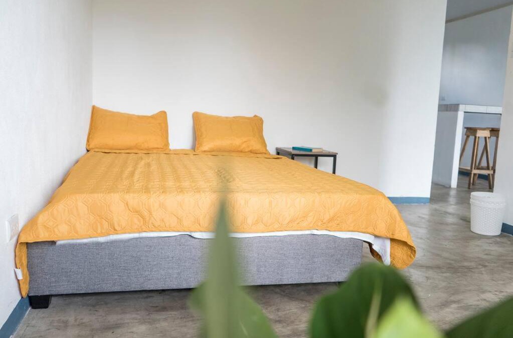 Rio Segundo Apartment | NAPPO Room 2 Alajuela, Heredia,SJO,5min from airport NO PARKING