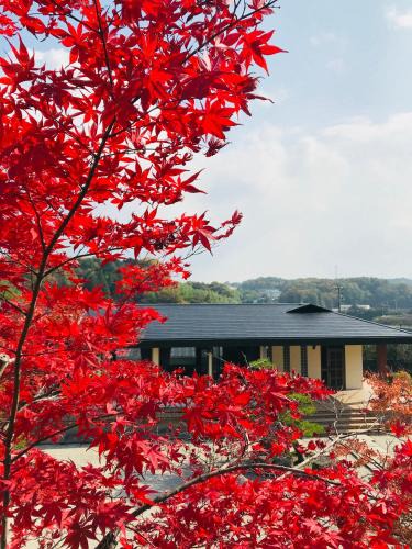 Nara House | NARA japanese garden villa