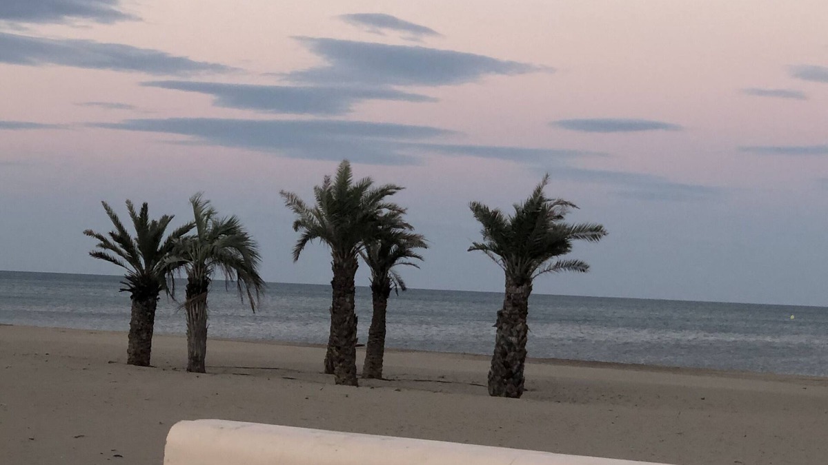 Narbonne-Plage Apartment | NARBONNE PLAGE T2 apartment of 40 M2 on the edge of the beach equipped with wifi