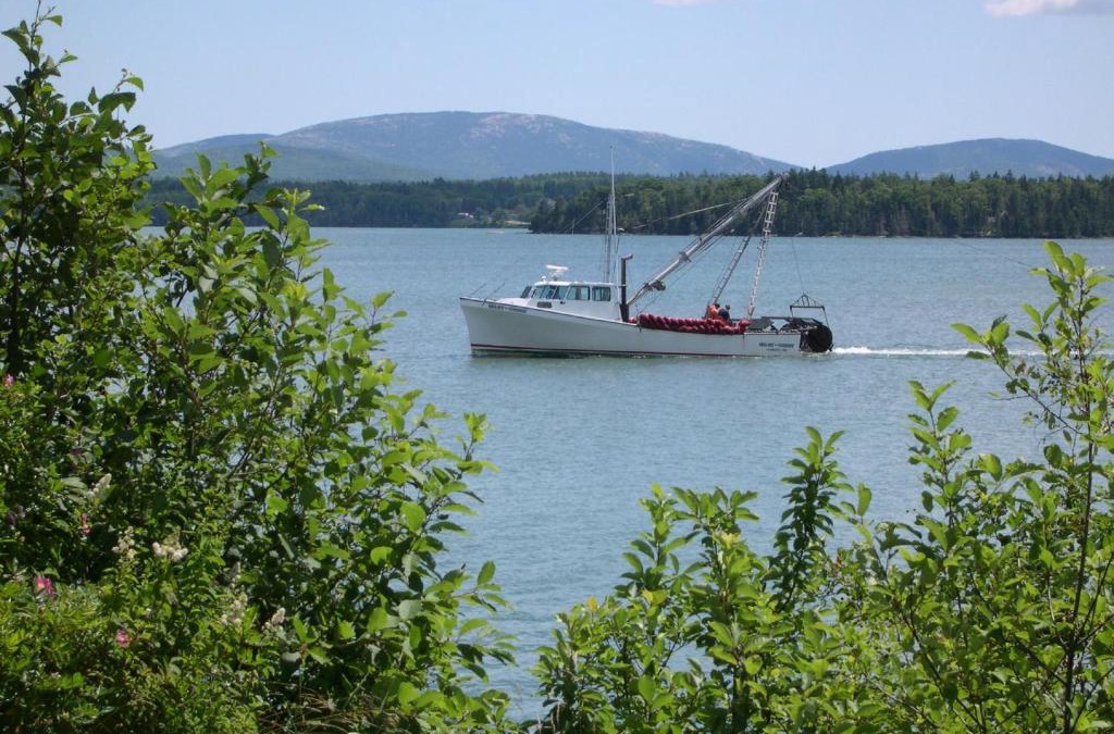 Trenton Resort | Narrows Too Camping Resort Cabin 6