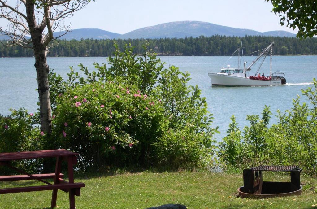 Trenton Resort | Narrows Too Camping Resort Cottage 11
