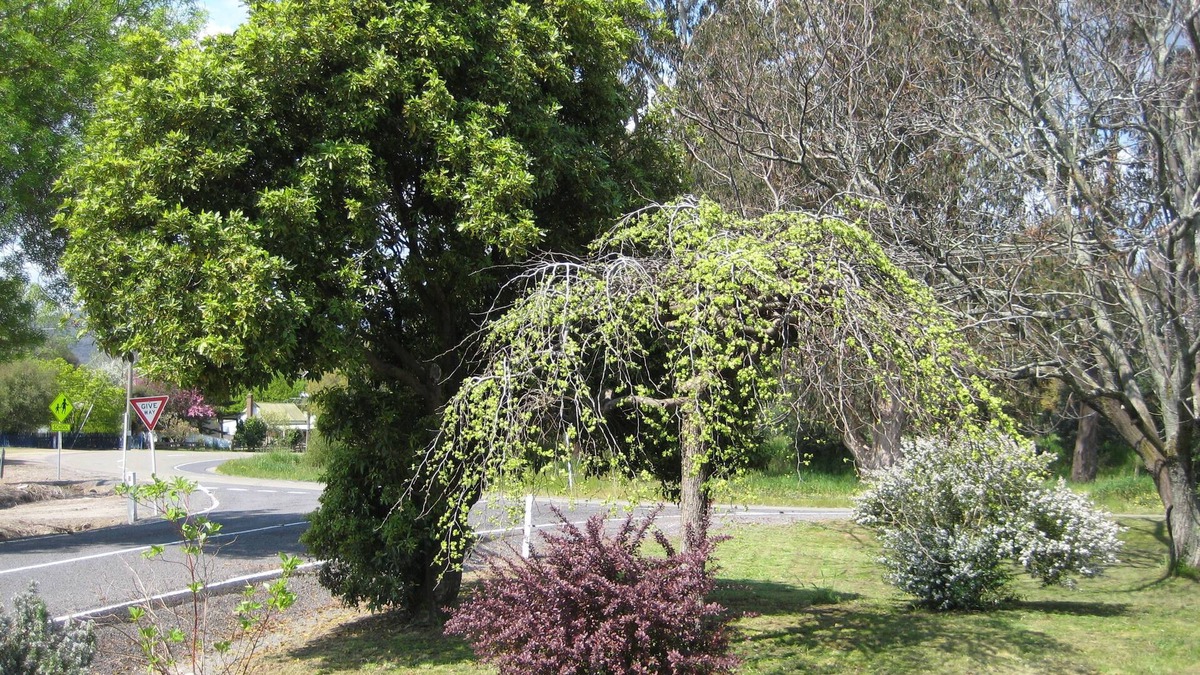 Whitfield House | Nathan's Place