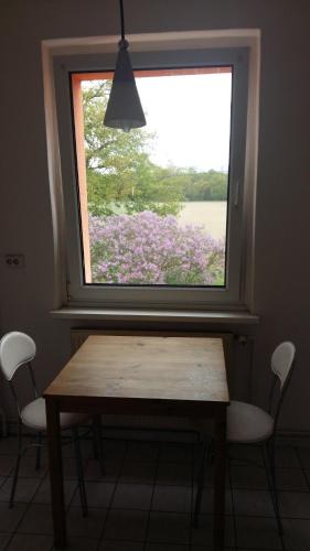 Kotzen Apartment | Natur-Freude-16