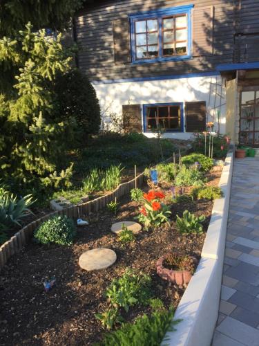 Steina Apartment | Natur pur mit Fernblick für Wanderfreunde