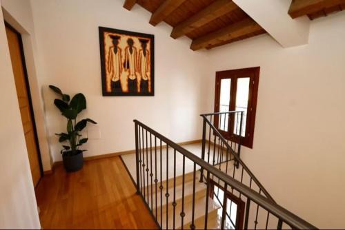 Rovigo Apartment | Natural Loft 14 -jvapartmentrovigo