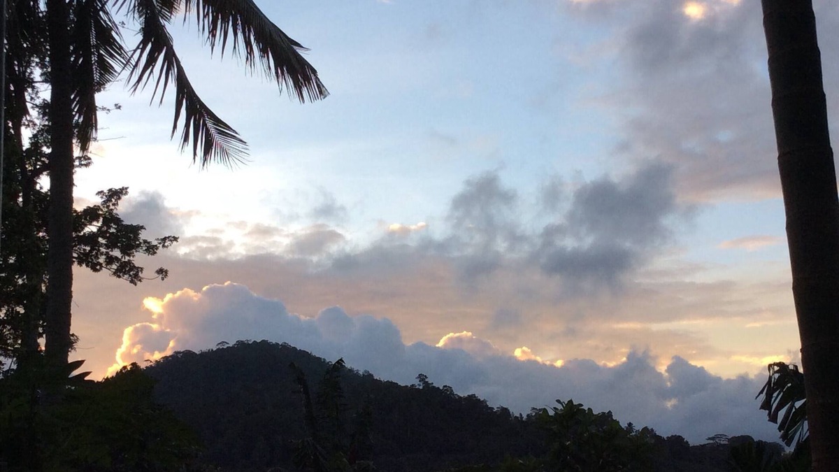 Deniyaya Cabin | Natural Mystic Sanctuary - Whole Place - Eco Lodge and Wildlife Reserve