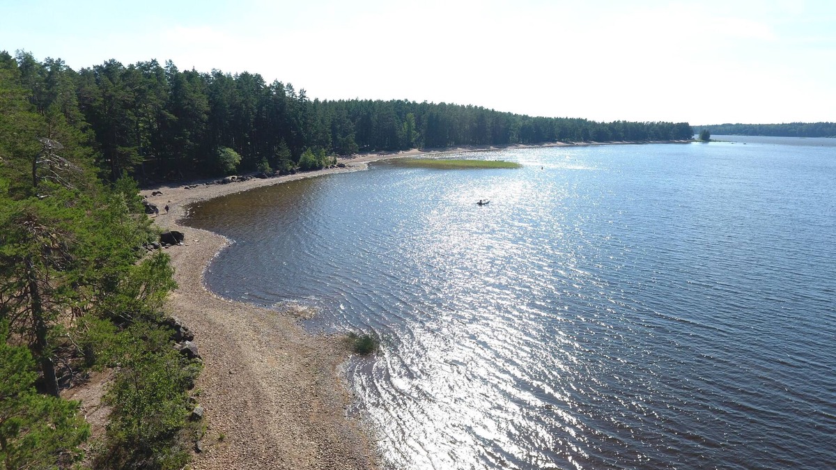 Tarnsjo Cottage | Natural Reserve Paradise. View of Lake.